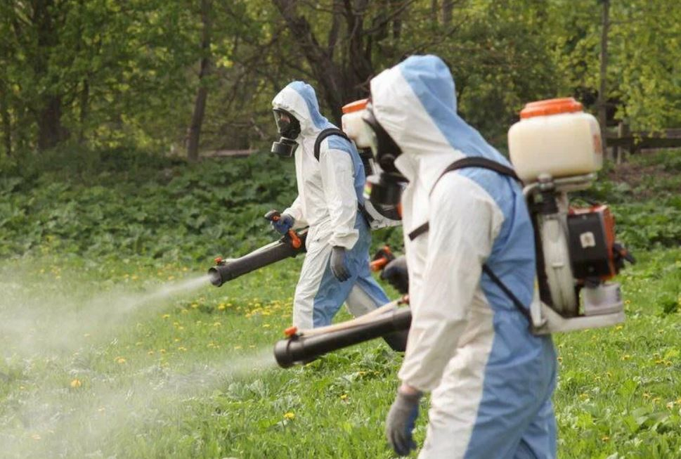 ФОТО Уничтожение клопов в Ликино-Дулево