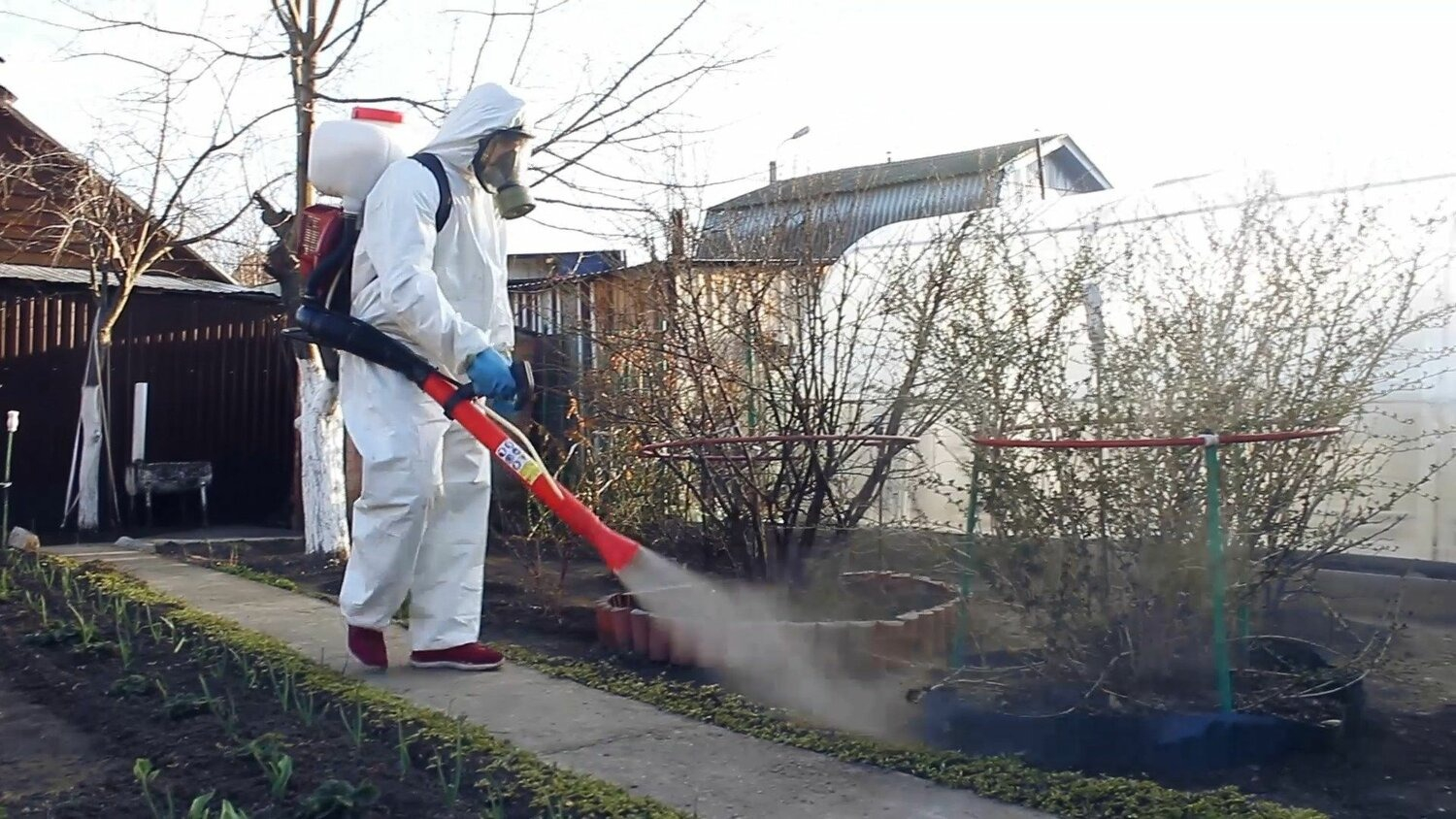 ФОТО Уничтожение муравьёв в Ликино-Дулево