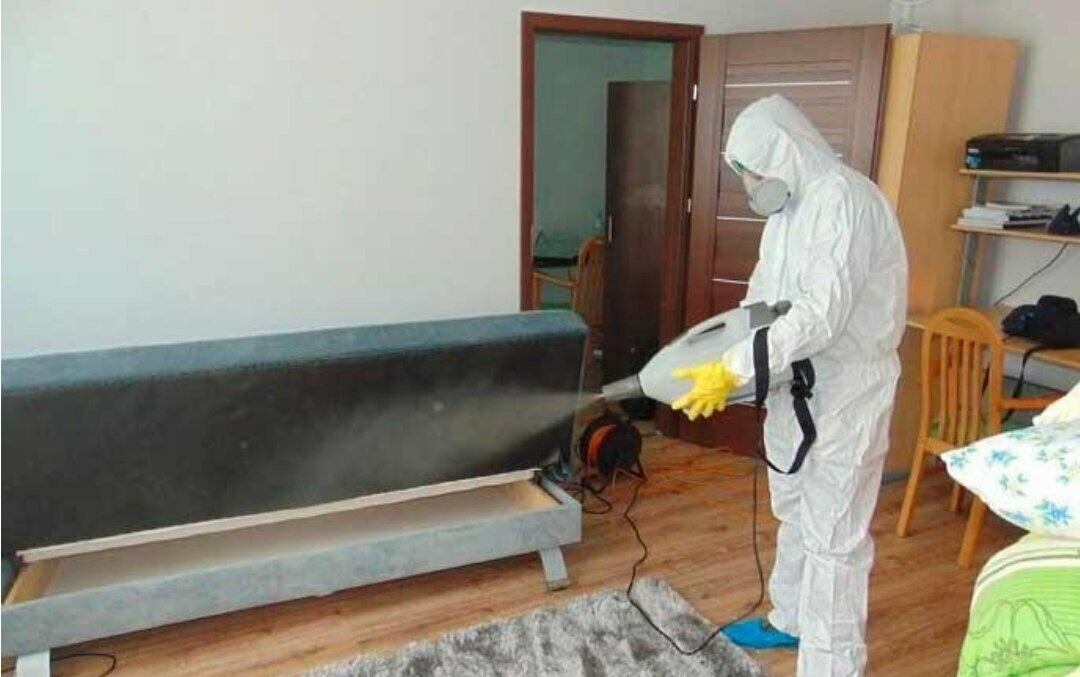 ФОТО Уничтожение блох в Ликино-Дулево