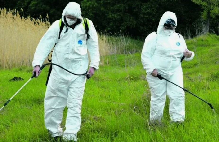 ФОТО Обработка от клещей в Ликино-Дулево