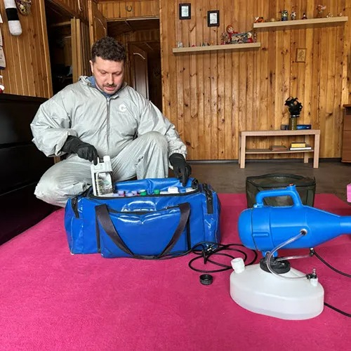 ФОТО Дератизация в Ликино-Дулево