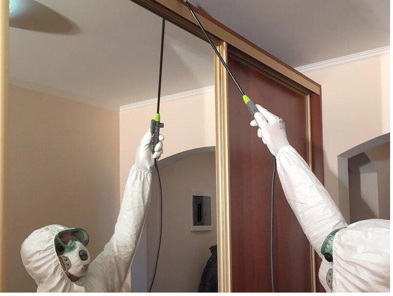 ФОТО Обработка от моли в Ликино-Дулево