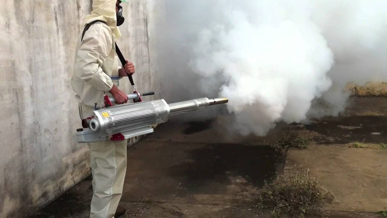 ФОТО Уничтожение мух в Ликино-Дулево