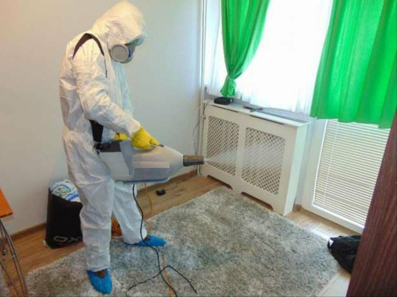 ФОТО Сколько времени занимает обработка при дезинсекции в Ликино-Дулево? | подробно