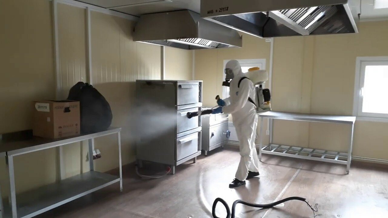 ФОТО Можно ли провести дезинсекцию самостоятельно и какие существуют риски в Ликино-Дулево? | подробно