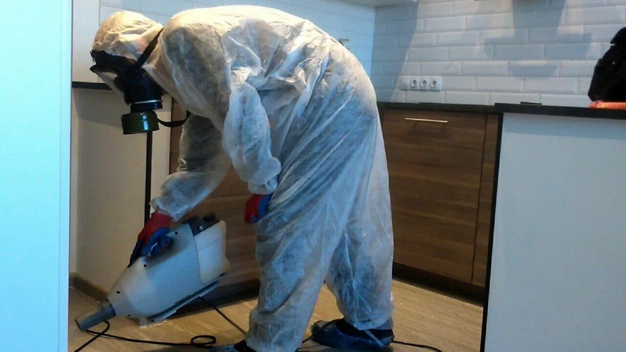 ФОТО Как подготовить домашних животных к обработке от насекомых в Ликино-Дулево? | подробно