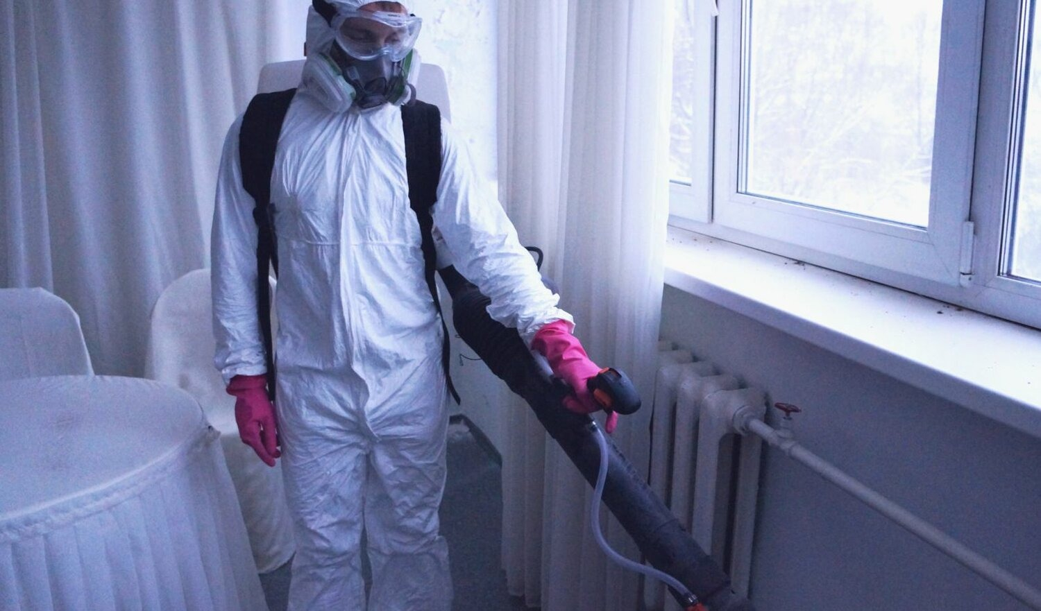 ФОТО Нужно ли выносить растения при дезинсекции в Ликино-Дулево? | подробно