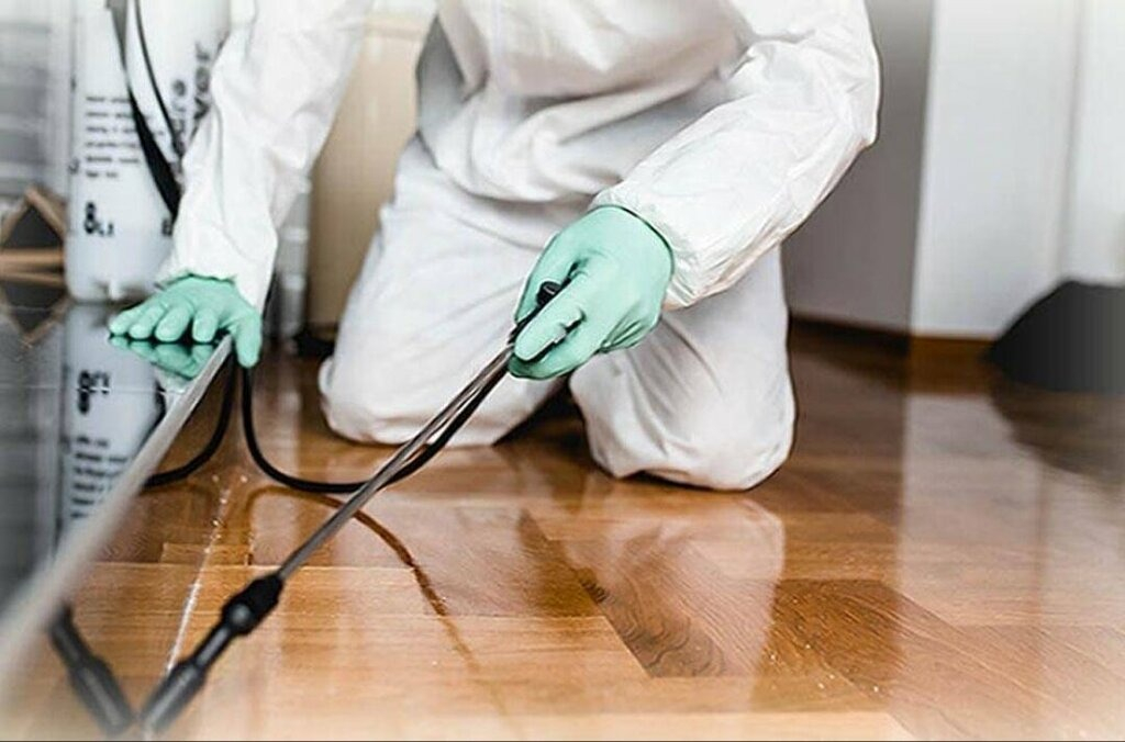 ФОТО Как подготовить вентиляцию при предстоящей дезинсекции в Ликино-Дулево?