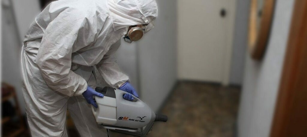 ФОТО Остаются ли следы после обработки квартиры от насекомых в Ликино-Дулево? | подробно