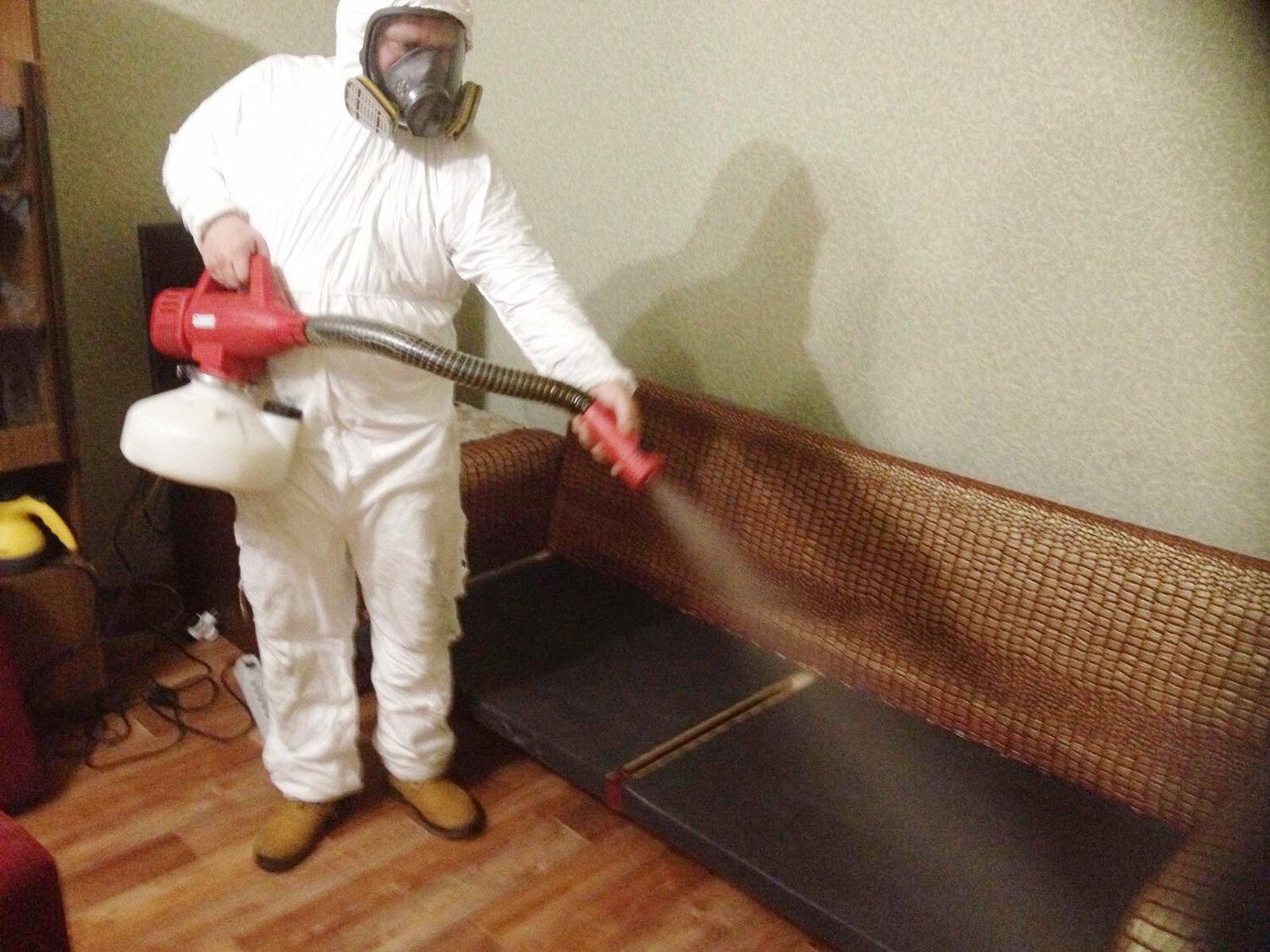 ФОТО Когда можно вернуться в помещение после дезинсекции в Ликино-Дулево? | подробно