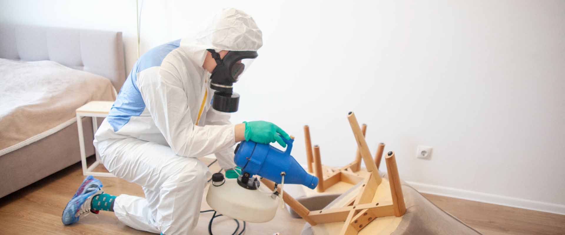 фото: Уничтожение постельных клопов с 1-го раза с гарантией за 30-60 мин. в Ликино-Дулево без предоплаты