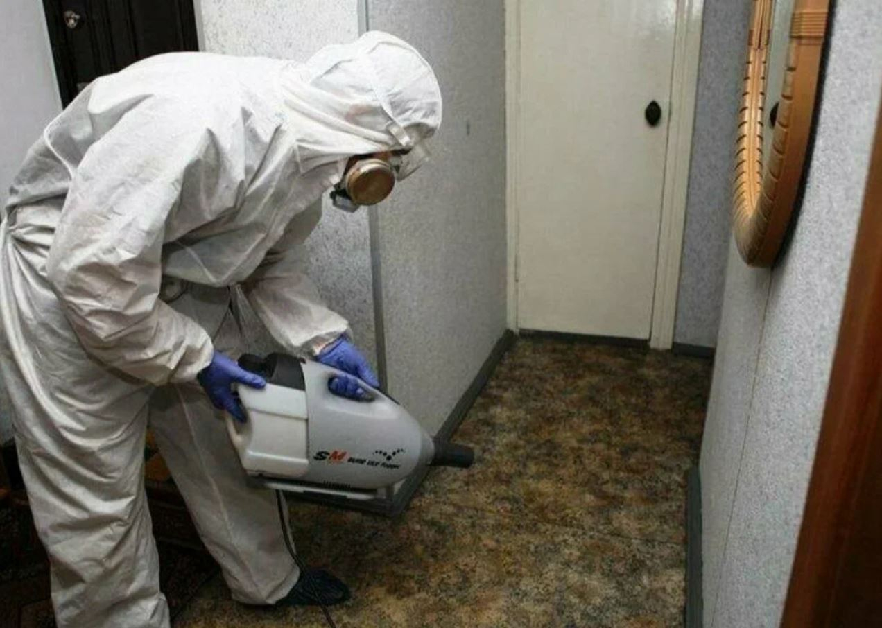 фото: Профессиональная дезинсекция в Ликино-Дулево: <br/>+7-909-173-42-96