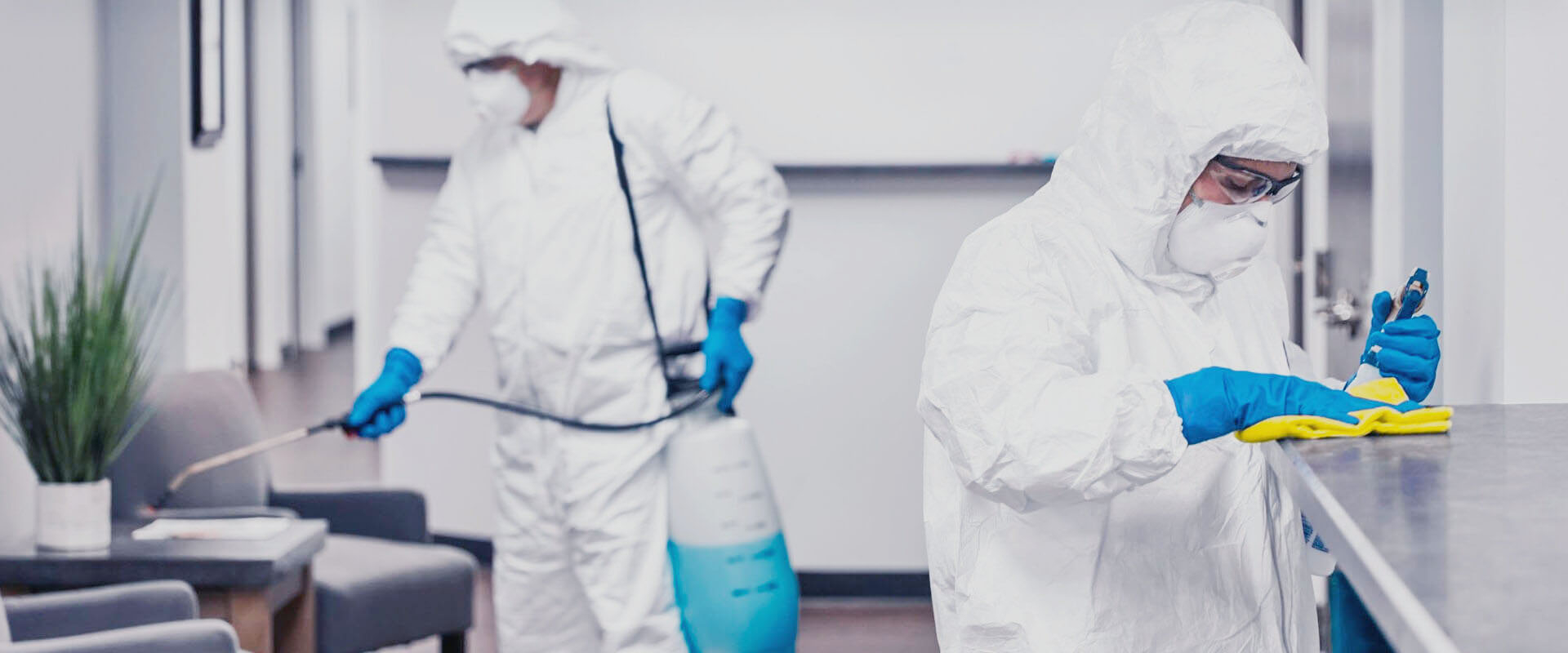 фото: Профессиональная дезинфекция в Ликино-Дулево: <br/>+7-909-173-42-96